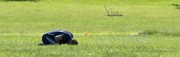 OTFL Gallery Image